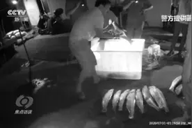 焦点访谈：长江禁捕出重拳图片