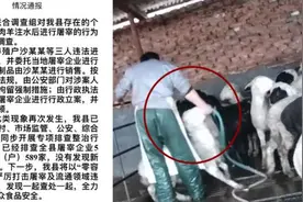 冠县通报“活羊注水”事件：3人被刑拘，排查养殖场589家视频封面