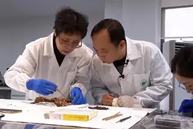 三星堆考古有重大发现图片