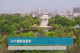 财经网来|18个新职业发布视频封面