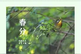 新华全媒+|今日春分：一场春雨一场暖，不负春光不负卿图片