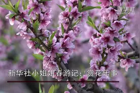 新华社小姐姐春游记：赏花乐事视频封面