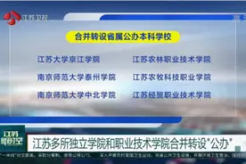 公示来了！江苏多所独立学院和职业技术学院合并转设“公办”视频封面