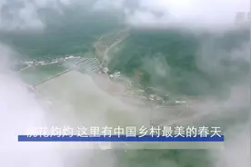 桃花灼灼 这里有中国乡村最美的春天视频封面