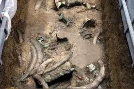 三星堆盲盒开箱⑥丨三星堆3号祭祀坑“铜尊开会”鸮型装饰萌萌哒图片