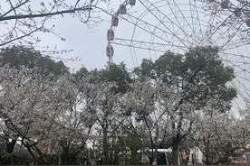着汉服共赴花朝节！2021上海樱花节汉服游园会如期而至图片