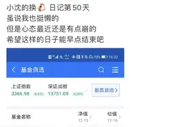 新基民追风：很少有人可以一直站在风口上图片
