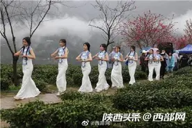 紫阳25万亩富硒茶开园 采茶斗茶等农旅活动成为游客新体验图片
