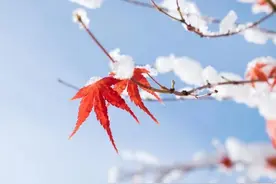 人贵有三气：底气、大气、脾气图片