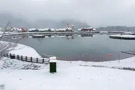 美！一夜飞雪落西岭图片