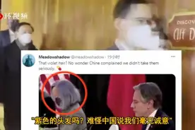 中美对话美方紫头发翻译被吐槽！美网友：难怪中国说我们毫无诚意图片