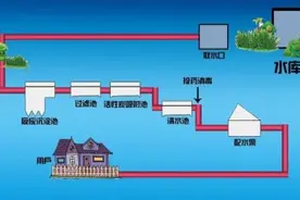 环境健康宣传周系列科普｜饮用水、茶水和饮料哪个更健康？图片