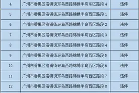 番禺16个违停抓拍电子警察上岗，全在洛浦街环岛西路图片