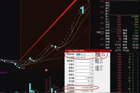 股民惊呆！巨亏90亿“妖股之王”狂拉29个涨停，暴涨236%，监管又出手图片