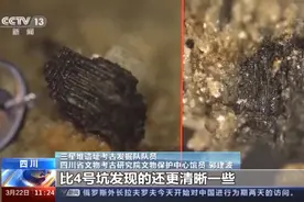 三星堆发现丝织残痕，走进古老植物王国图片