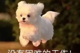 烟台版生僻字地名考试来啦～你能坚持到第几题？图片