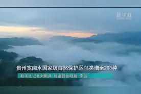 贵州宽阔水国家级自然保护区鸟类增至203种视频封面