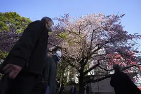 变异新冠病毒正在日本加速蔓延 暴发多起集体感染图片