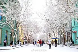 春雪满空来 触处似花开图片