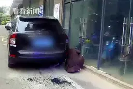 乌龟从17楼“越狱”车窗被砸出个大窟窿图片
