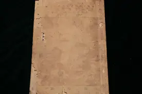 果然视频·回眸百年｜陈望道蘸着墨汁吃粽子，还说很甜视频封面