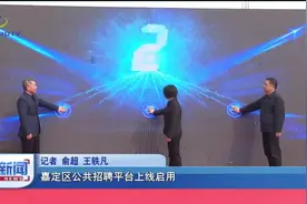 嘉定区公共招聘平台上线启用视频封面