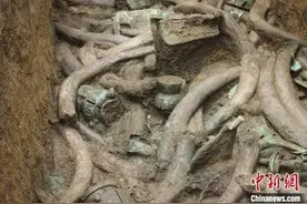 三星堆“上新了”，为何对象牙情有独钟？| 睡前聊一会儿图片