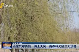 三大预警齐发！南风较大,海上最大风力8到9级，青岛等8地注意防范视频封面