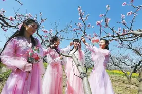 第十七届西华桃花节盛大开幕 桃花朵朵开赏花等你来图片