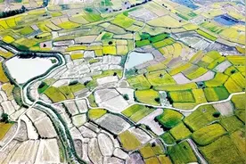 小岗起惊雷 改革逐浪高图片