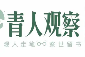 流浪动物和它们的“隐形守护者”图片