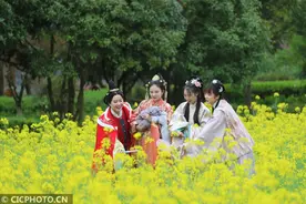 春日风光美 相偕伴出游图片