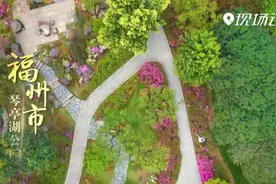 福州：春意浓 花正开视频封面
