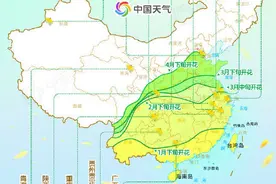 一沐春风万顷黄！全国油菜花地图 看哪里花开正艳？图片