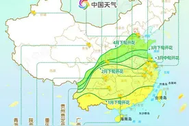 一沐春风万顷黄！2021全国油菜花地图看哪里花开正盛？图片