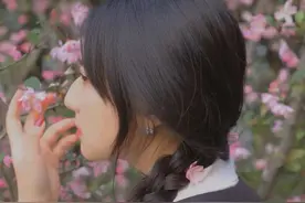 浙江赏春地图2.0！除了樱花，还有海棠、郁金香图片