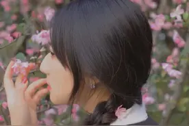 浙江赏春地图2.0！除了樱花，还有海棠、郁金香图片