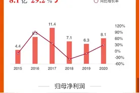 ST椰岛2020年实现扭亏，提交撤销其他风险警示申请图片
