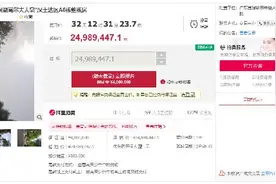 深圳一顶级别墅2498万元司法拍卖，业主系上市公司老板，身家曾达百亿元图片