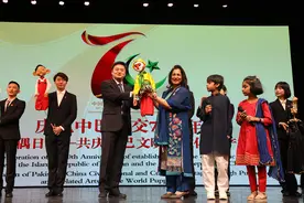 小木偶添彩大外交！中巴建交70周年共享文明与文化遗产图片