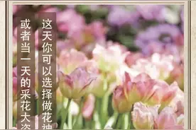 农历中国 | 二月十二 · 花朝节图片