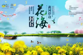 看油菜花何须去婺源 封丘万亩花海邀你游图片