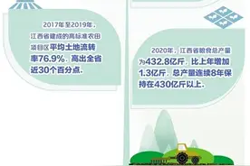高标准农田怎么建？――来自江西的调查报告图片