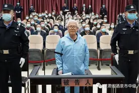 16年涉贿五千万白发厅官受审，前任搭档落马家中搜出五支枪图片