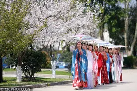 春风扑面春花香 校园春景美如画图片