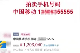 简直66666！尾号55555手机号在法院拍出120万天价图片