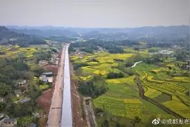 到成都仅一小时半 成雅快速通道即将形成通车条件图片
