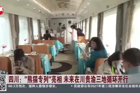 四川：“熊猫专列”亮相  未来在川贵渝三地循环开行视频封面