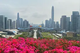 李强率上海代表团考察广东深圳和海南，聚焦这些重大国家战略视频封面