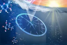 糖尿病人为何在早餐后呈现高血糖？上海专家揭示胰岛素敏感性的昼夜节律调控机制图片